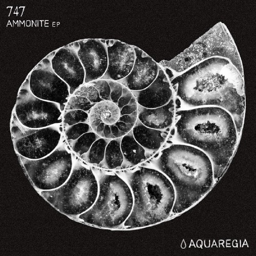 747 - Ammonite EP (2016)
