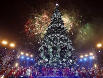 Торжественное зажжение новогодних елок в Киеве начнется в понедельник