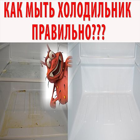 Генеральная уборка холодильника. Убираем плесень, грязь (2016) WEBRip