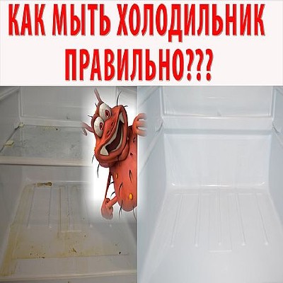 Генеральная уборка холодильника. Убираем плесень, грязь (2016) WEBRip