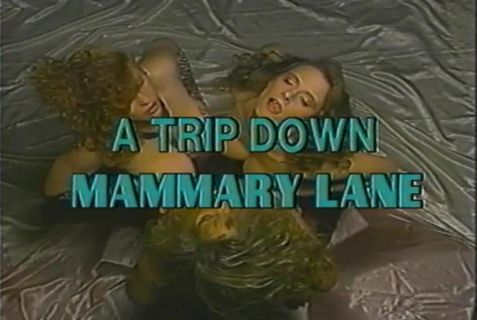 A Trip Down Mammary Lane (C. Everette Smythe, Filmco Releasing) [1991 ., All Sex, VHSRip]