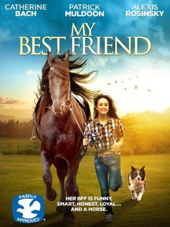 My Best Friend (2016) DVDRip x264-RedBlade 170109