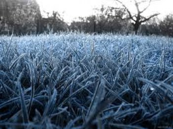 Умеренно морозная погода с дневными оттепелями будет в Украине в ближайшие дни