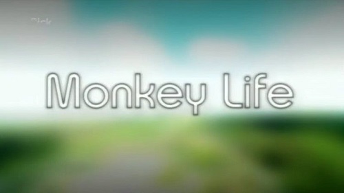 BSkyB - Monkey Life Series 1 (2007) PDTV