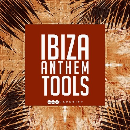 Ibiza Anthem Tools Grooves (2016)