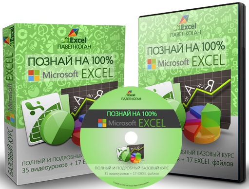   100% Microsoft Excel.  (2016)