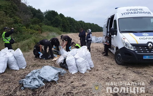 В лесополосе на Луганщине обнаружили 150 кг марихуаны