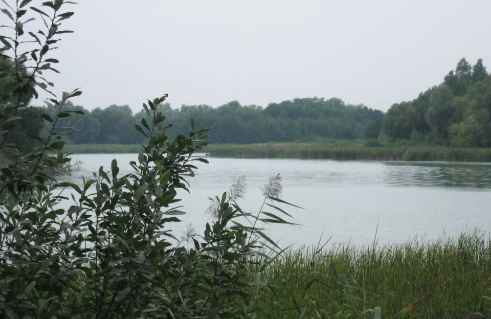 Вісті з Полтави - На Полтавщині в оренду віддали 4 га території річки Чумгак