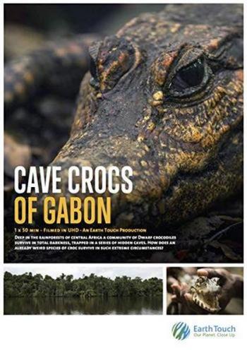 Пещерные крокодилы Габона / Cave Cross of Gabon (2018) HDTV 1080i