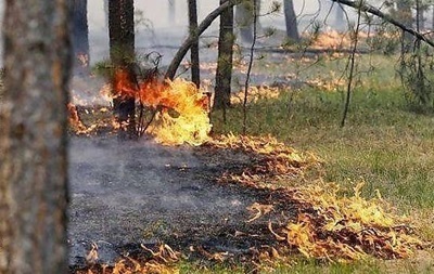 В Украине объявлен высший уровень пожароопасности