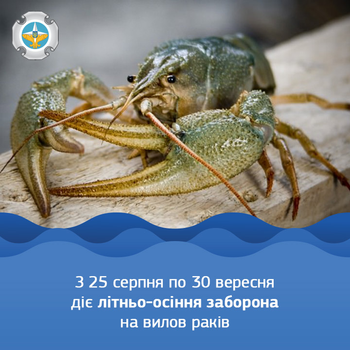 Вісті з Полтави - З 25 серпня до 30 вересня заборонено ловити раків, — Полтавський рибоохоронний патруль