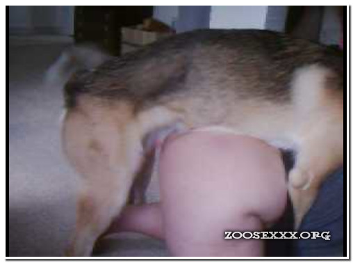 Amateur ZooSex - Home Dog 1