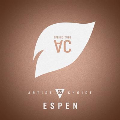 VA   Artist Choice 65 Espen (2019)