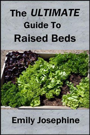 The Ultimate Guide To Raised Beds