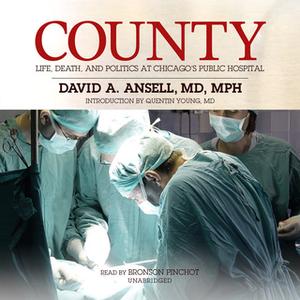«County» by David A. Ansell M.D. (MPH)