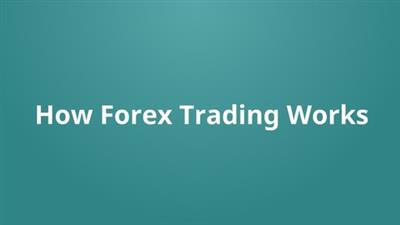 30 Day Challenge   Understanding Forex Trading
