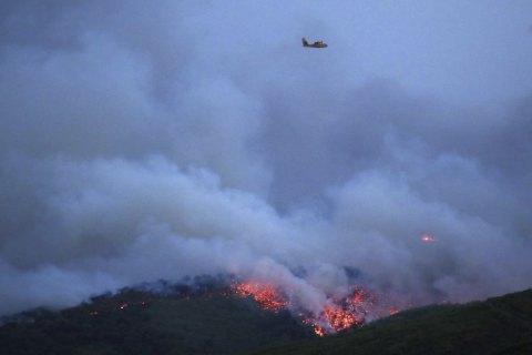 Семь местностей Полдневной Америки подмахнули договоренность о противодействии лесным пожарам