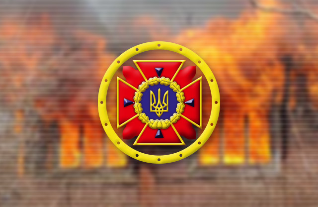 Вісті з Полтави - У Миргородському районі пожежа із сухої трави перекинулась на будинок — господар загинув