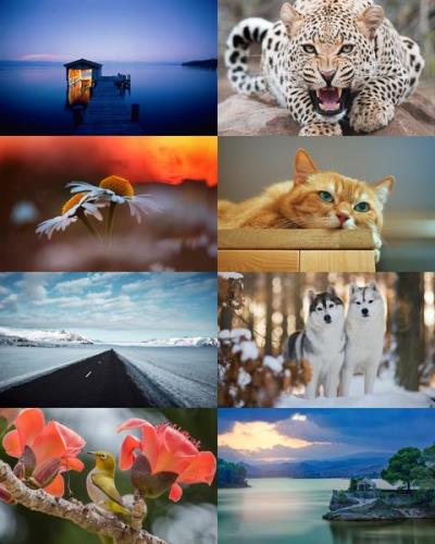 Wallpapers Mix №824