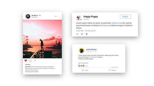 Facebook Twitter Instagram - Animated Posts - Project for After Effects (Videohive)