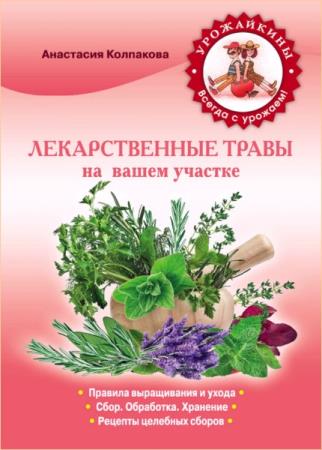 Колпакова Анастасия  - Лекарственные травы на вашем участке