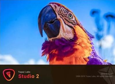 Topaz Studio 2.1.1 + Portable