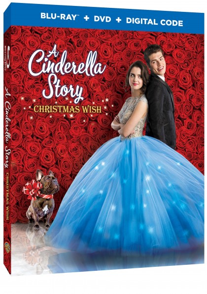 A Cinderella Story Christmas Wish 2019 1080p WEB-DL H264 AC3-EVO