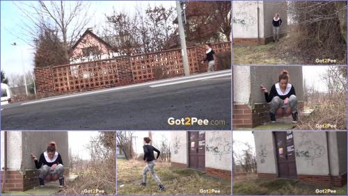 Unknown - Video-golden-puddle