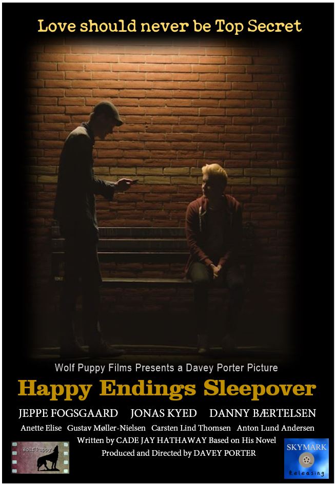 Happy Endings Sleepover 2019 WEBRip XviD MP3 XVID