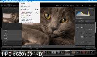 Adobe Photoshop Lightroom Classic 2019 8.4.0 Portable by punsh