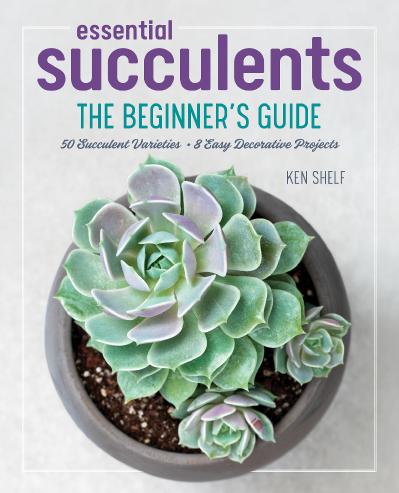 Essential Succulents The Beginner's Guide