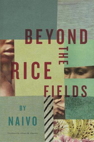 Beyond the rice fiel