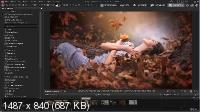 ACDSee Photo Studio Professional 2020 13.0 Build 1365 + Rus 